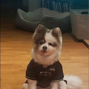 Meet your Posher, Robert